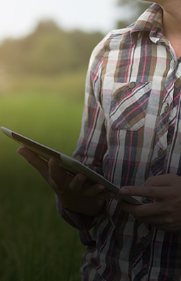 fbs-website-product-Lower-of-Cost_Market