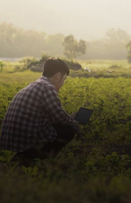 fbs-website-product-financialanalysis-FarmFinancialStandardsRatios-1