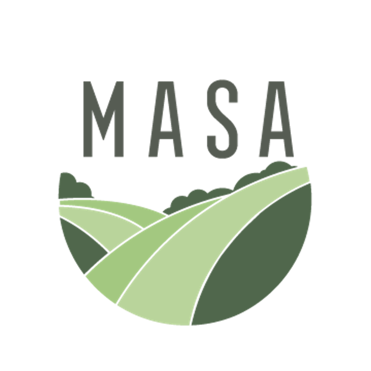 MASA Simple Clipped-3